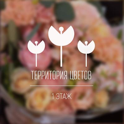 Территория цветов. Открытие